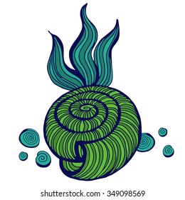 Beautiful sea shell set vector image.