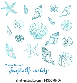 Beautiful sealife vectors, collection of various clam, starfish, snail, urchin - great for underwater and miritim designs, fashion prints, summer inspired textiles, beach wear or backgrounds.