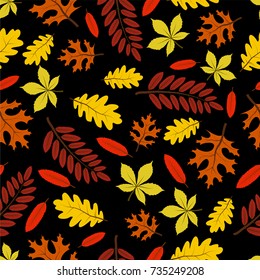 Beautiful seamless autumn pattern vector 