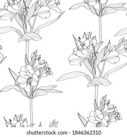 Beautiful seamless background with black white line alstroemeria lilies flower. Design greeting card and invitation of the wedding, birthday, Valentine's Day, mother's day and other seasonal holiday.