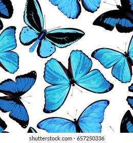 Beautiful seamless background of butterflies blue colors. Many butterflies to the author's profile