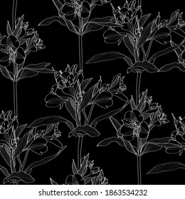 Beautiful seamless background on black white line alstroemeria lilies flower. Design greeting card and invitation of the wedding, birthday, Valentine's Day, mother's day and other seasonal holiday.