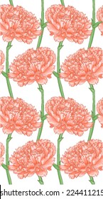 Beautiful seamless background with pink carnation. Hand-drawn with effect of drawing in watercolor