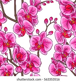 beautiful seamless background of pink colorful orchids. hand-drawn illustration
