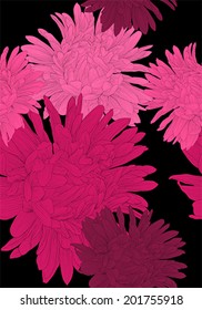 Beautiful seamless background with pink flowers aster. Hand-drawn contour lines and strokes.