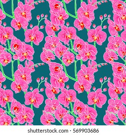 beautiful seamless background of pink orchids on a dark blue background. hand-drawn illustration