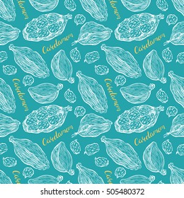 Beautiful seamless background of sketch cardamom. hand-drawn illustration