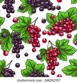 Beautiful seamless background with sprigs of red and black currants