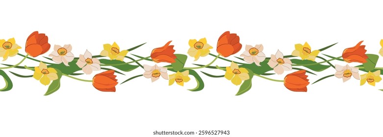 Beautiful seamless border of tulips and daffodils isolated on white background. Red, yellow and white spring flowers, Mother's Day gift. Colorful vector illustration in flat style.