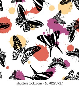 Beautiful seamless butterfly kite background with blotter on white.  Wildlife butterfly hover theme vector. Repeating insect soar clipart for advert.