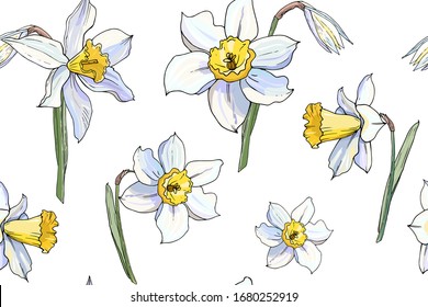 Beautiful seamless daffodil floral pattern. Hand drawn narcissus endless background. Spring easter backdrop. For greeting cards, invitations, decorations, floral prints, floristic design, wallpaper.