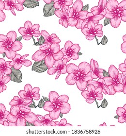 Schönes, nahtloses Blumenmuster mit Apfelblumen. Naturbotanische Vektorhintergrund. Stockgrafisches Design.
