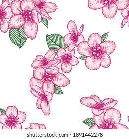 Beautiful seamless floral light pattern with apple flowers. Nature botanical vector background illustration. Stock graphic design.