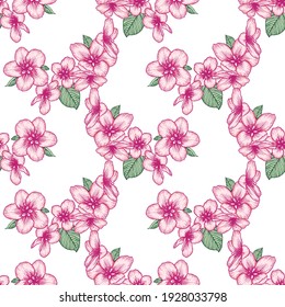 Beautiful seamless floral light pattern with apple flowers. Nature botanical vector background illustration. Stock graphic design.