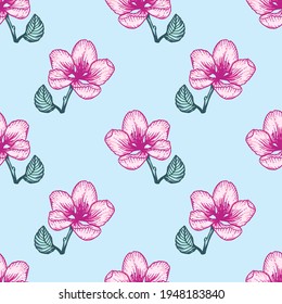 Hermoso patrón de luz floral sin fisuras con flores de manzana rosa. Ilustración de fondo del vector botánico de la naturaleza. Diseño gráfico bursátil.