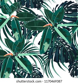 Beautiful seamless floral pattern background with tropical dark ficus elastica and palm monstera leaves. Perfect for wallpapers, web page backgrounds, surface textures, textile. White background.