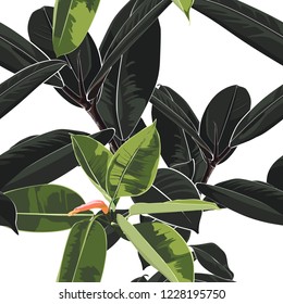 Beautiful seamless floral pattern background with tropical dark and bright ficus elastica. Perfect for wallpapers, web page backgrounds, surface textures, textile. White background.