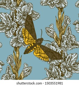 Beautiful seamless floral pattern. Butterfly dead head and gladiolus flowers. Vintage. Engraving style. Vector illustration.