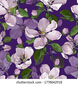 Beautiful seamless floral pattern with flowers cherry, blooming sakura or apple blossom and green leaves on purple background. Hand drawn. Vector stock illustration.