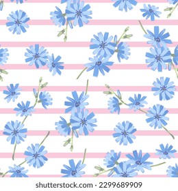 Hermoso patrón floral sin costura de flores de achicoria azul sobre blanco con fondo de rayas rosas. Ilustración vectorial.