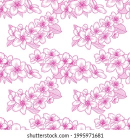 Beautiful seamless floral pattern with pink apple flowers. Nature botanical vector background illustration. Stock graphic design.