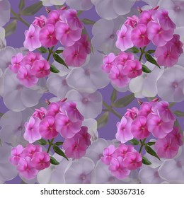 Beautiful seamless floral pattern with pink phlox on lilac background.Vector illustration.