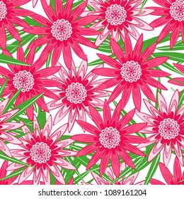 Beautiful Seamless Flower Pattern with Leaves. Stylized Gerbera or Daisy. Vector Flowers in Hipster Style. African Camomile Gasania. Seamless Pink Flowers for Print, Cloth, Textile, Fabric, Paper.