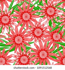 Beautiful Seamless Flower Pattern with Leaves. Stylized Gerbera or Daisy. Vector Flowers in Hipster Style. African Camomile Gasania. Seamless Red Flowers for Print, Cloth, Textile, Fabric, Paper.
