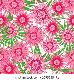 Beautiful Seamless Flower Pattern with Leaves. Stylized Gerbera or Daisy. Vector Flowers in Hipster Style. African Camomile Gasania. Seamless Pink Flowers for Print, Cloth, Textile, Fabric, Paper.