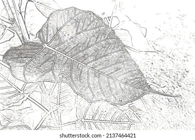 Hermoso fondo de hoja sin foco. Patrón de textura de hojas grises abstractas.