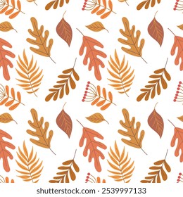 Beautiful seamless pattern with autumn falling leaves foliage on white background. Hand drawn vector flat colored illustration. Oak tree leaf, maple, laurel, chestnut leaves in brown, orange, yellow.