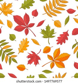 Beautiful seamless pattern of bright colorful autumn leaves on white background