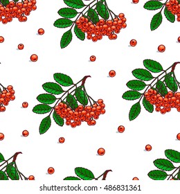 beautiful seamless pattern with bunches of ripe rowan. hand-drawn illustration