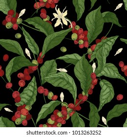 Beautiful seamless pattern with coffea or coffee tree branches, leaves, blooming flowers and fruits on black background. Colorful vector illustration in antique style for fabric print, wallpaper.