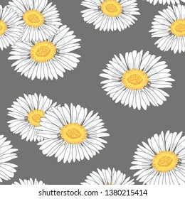 Beautiful seamless pattern with daisy flowers on dark grey background. Vector illustration
