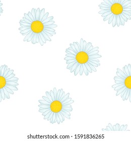 Beautiful seamless pattern with flowers daisy. design for greeting cards and invitations of wedding, birthday, Valentine s Day, mother s day and other seasonal holiday