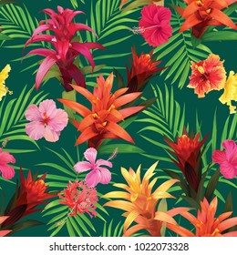 Beautiful seamless pattern with guzmania and hibiscus flowers on dark green background. Vector set of blooming tropical floral for wedding invitations, greeting card and fashion design. 