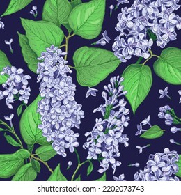 Beautiful seamless pattern with hand drawn luxurious light blue flowers and green leaves of Lilac on a dark violet background. Vector illustration of Lilac plant. Floral elements  for textile design