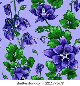 Beautiful seamless pattern with hand drawn luxurious violet flowers and green leaves of Aquilegia on a lilac background. Vector illustration of Сolumbine flower. Floral elements for textile design