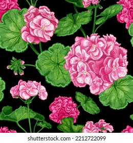 Hermoso patrón impecable con lujosas flores rosadas dibujadas a mano Pelargonium sobre un fondo negro. Ilustración vectorial de la flor Geranium. Elementos florales para el diseño textil