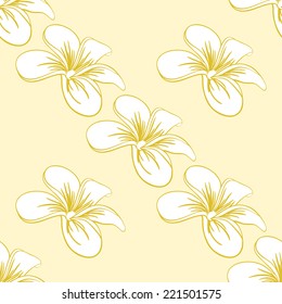 Beautiful Seamless Pattern of Hand Drawn Plumeria Flowers for Your Perfect Design