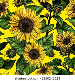 Beautiful seamless pattern with hand drawn lush Sunflowers flowers on a yellow background. Vector illustration of Helianthus flower. Floral wildflowers elements for textile design