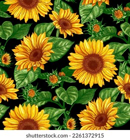 Beautiful seamless pattern with hand drawn lush Sunflowers flowers on a black background. Vector illustration of Helianthus flower. Floral wildflowers elements for textile design