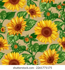 Beautiful seamless pattern with hand drawn lush Sunflowers flowers on a beige background. Vector illustration of Helianthus flower. Floral wildflowers elements for textile design