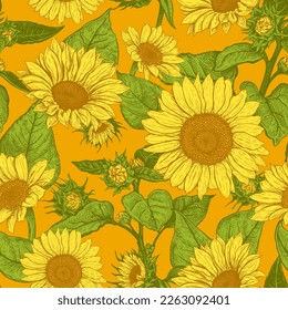 Schönes, nahtloses Muster mit handgezeichnet blühenden Sonnenblumen auf orangefarbenem Hintergrund. Vektorgrafik der Helianthus-Blume. Blumenwildelemente für Stoffdesign