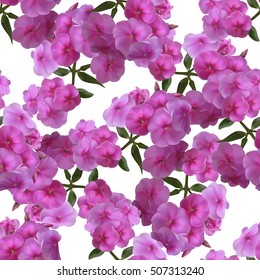 Beautiful seamless pattern with pink phlox on white background.Vector illustration.