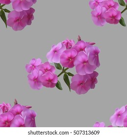 Beautiful seamless pattern with pink phlox on gray background.Vector illustration.