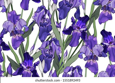 Beautiful seamless pattern with purple flowers and green leaves on white.Hand drawn.Background with violet irises for your design, prints, textile,web pages.Realistic style. Vector stock illustration.