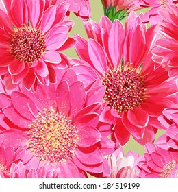 Beautiful seamless pattern with realistic red gerberas