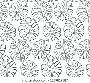 Beautiful seamless pattern with ropical jungle palm, monstera leaves. Black and white nature floral endless background